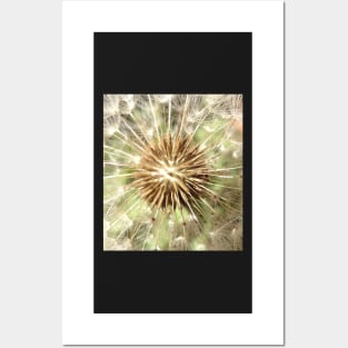 Make a Powerful Wish with a Dandelion Poof Posters and Art